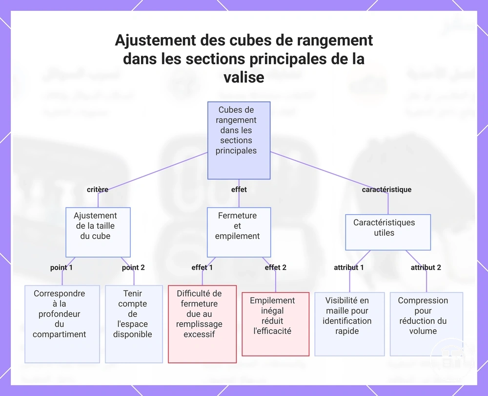 Ajustement des cubes de rangement dans les sections principales de la valise